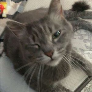 Meet your Posher, Elouise